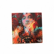 ALUMINIUM PREDATOR PAQUET DE 50 FEUILLES