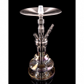 CHICHA DSCHINNI JUNIOR 4S 