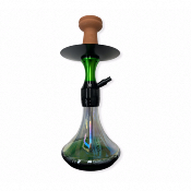 chicha EVOLUTION