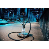 CHICHA ZISCH & BUFF