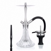  Chicha ALADIN Mvp A36 
